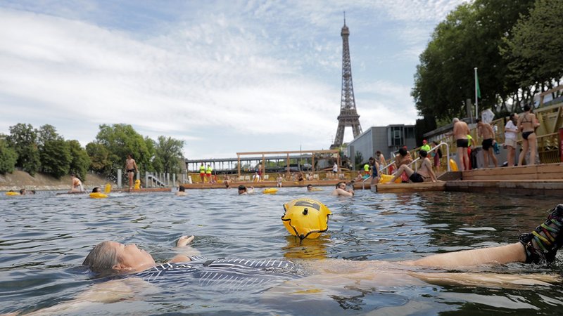 Ce que vous allez découvrir